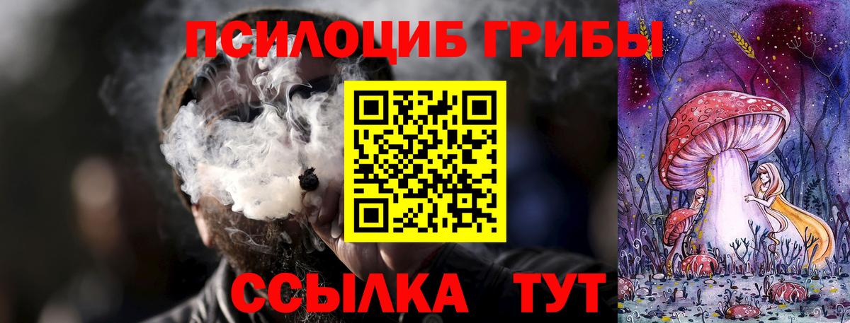 Галлюциногенные грибы Psilocybe Губаха